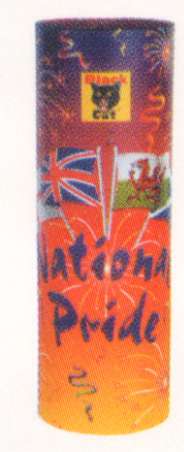 National Pride.JPG (11393 bytes)
